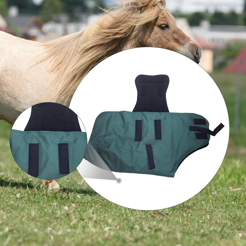 Premium Waterproof Winter Horse Blanket — Breathable Equestrian Turnout Sheet