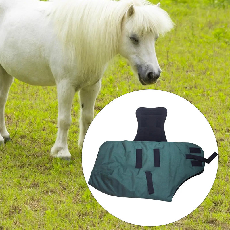 Premium Waterproof Winter Horse Blanket — Breathable Equestrian Turnout Sheet