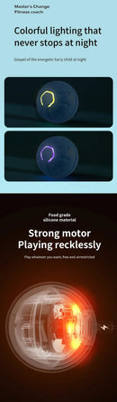 Smart Interactive Jumping Ball for Dogs & Cats | USB Rechargeable Automatic Moving Toy | Anti-Stress Pet Play Ball