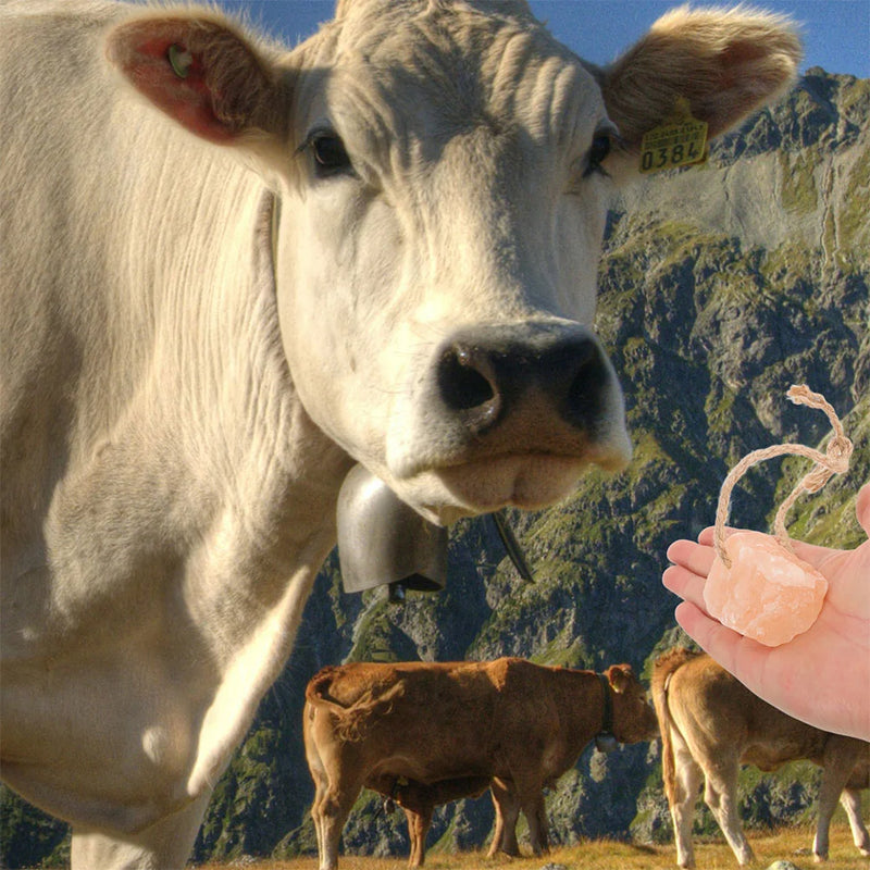 Pink Mineral Salt Lick Block – Natural Bathing and Chew Supplement for Horses, Rabbits, and Small Pets (6pcs Set)