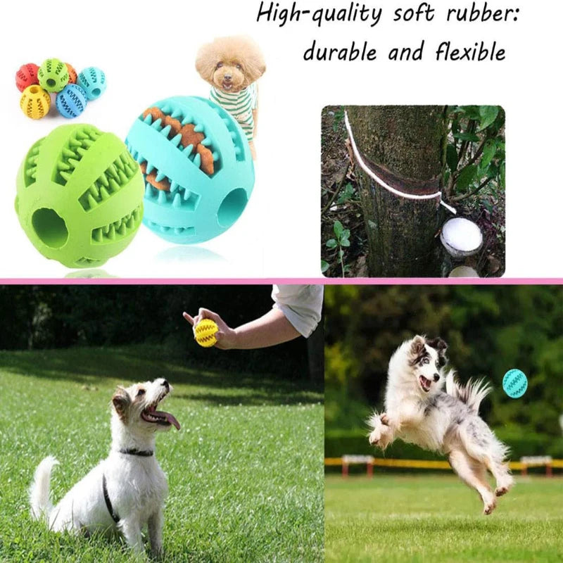 Interactive Rubber Dog Toy Ball – Chew & Treat Dispenser for Dental Cleaning and Play