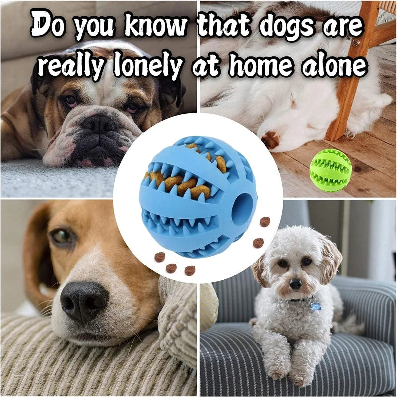 Interactive Rubber Dog Toy Ball – Chew & Treat Dispenser for Dental Cleaning and Play