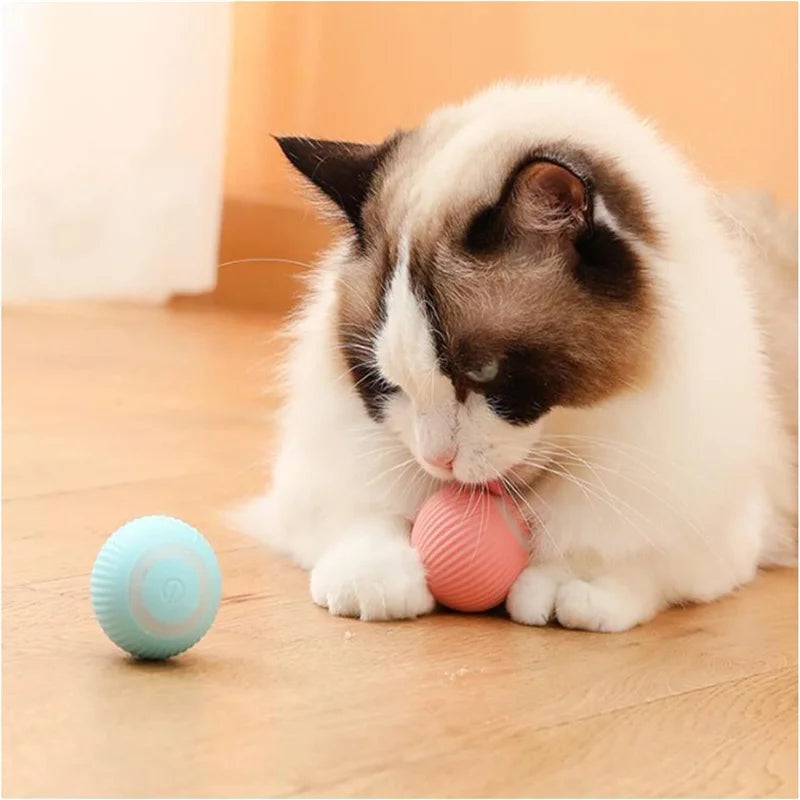 Smart Interactive Jumping Ball for Dogs & Cats | USB Rechargeable Automatic Moving Toy | Anti-Stress Pet Play Ball