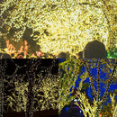 Green Cable LED Christmas Fairy Lights – Outdoor Waterproof Garland